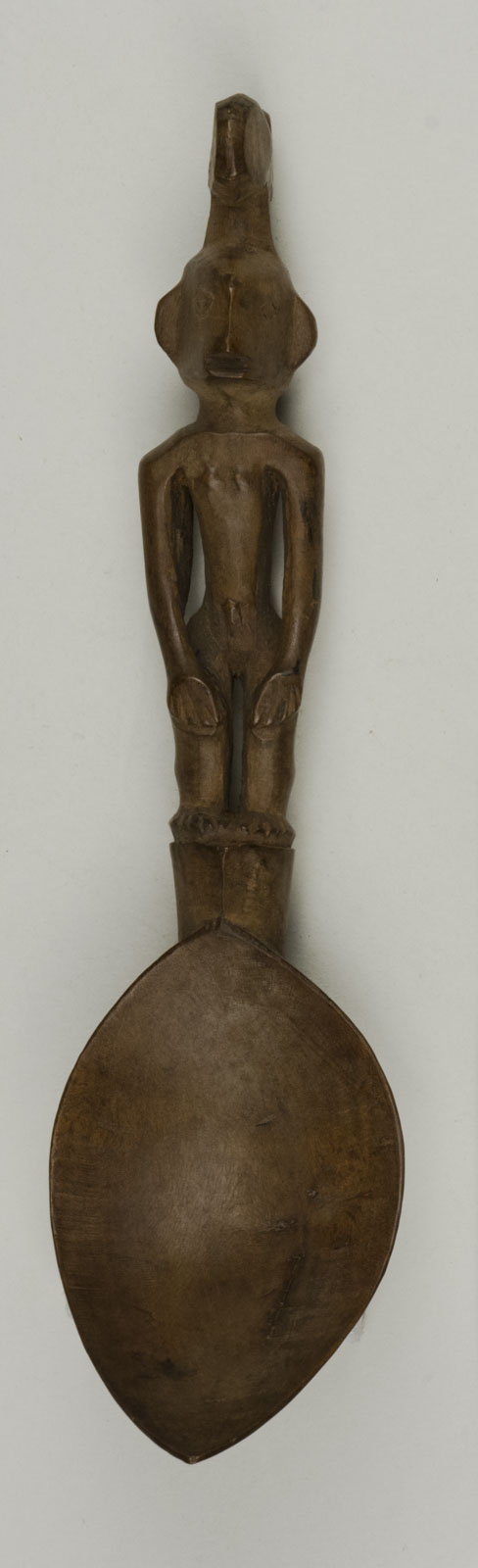 TopNoScale (c) Field Museum of Natural History - CC BY-NC 4.0