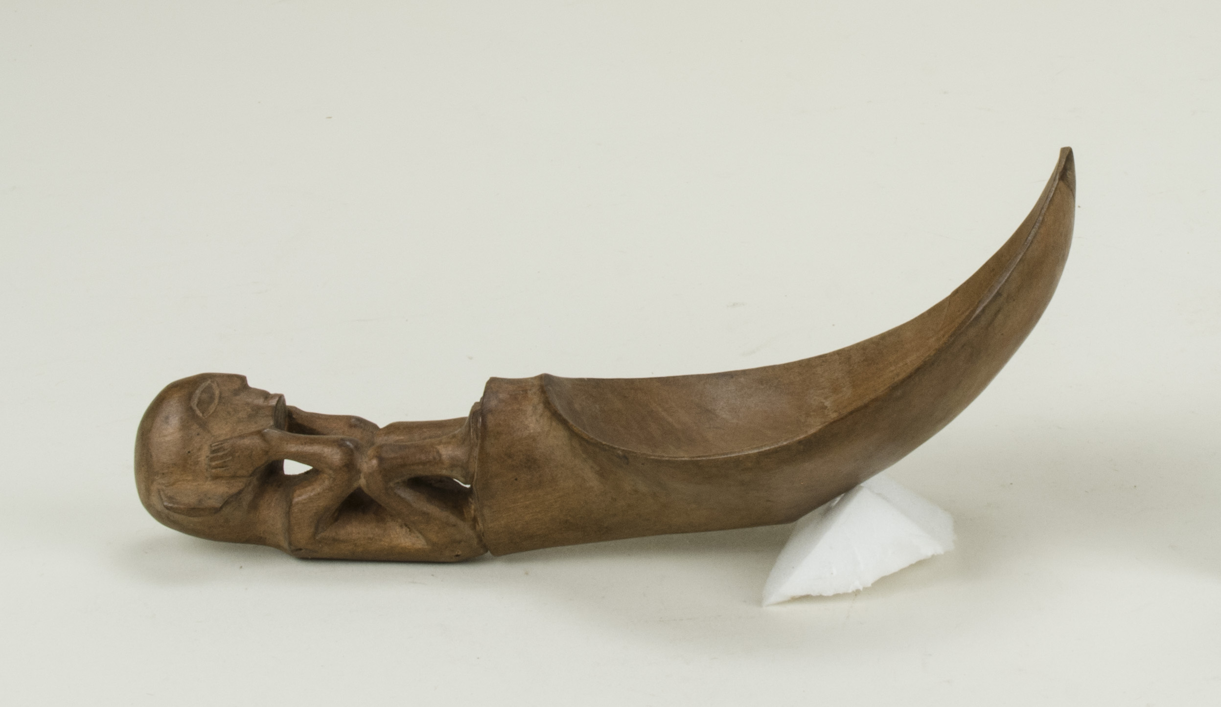 SideNoScale (c) Field Museum of Natural History - CC BY-NC 4.0