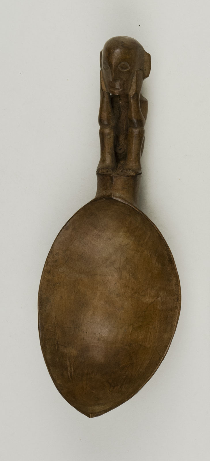 TopNoScale (c) Field Museum of Natural History - CC BY-NC 4.0