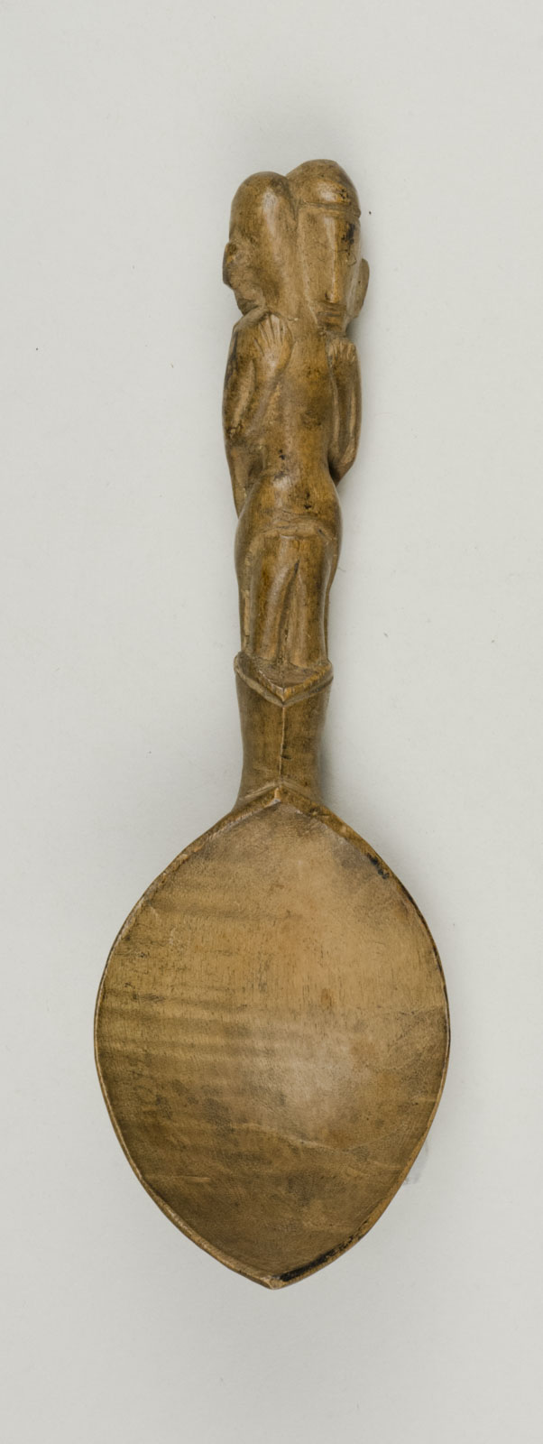 TopNoScale (c) Field Museum of Natural History - CC BY-NC 4.0