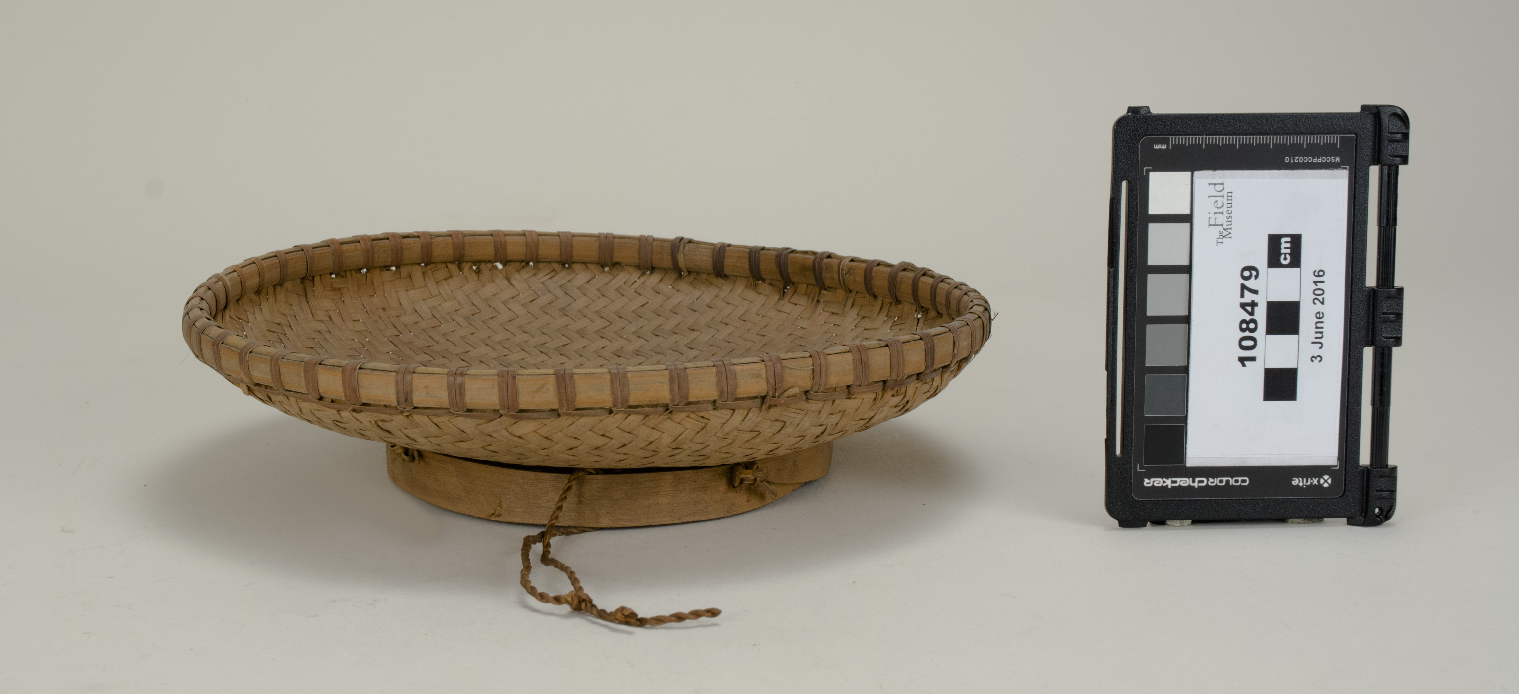 side (c) Field Museum of Natural History - CC BY-NC 4.0