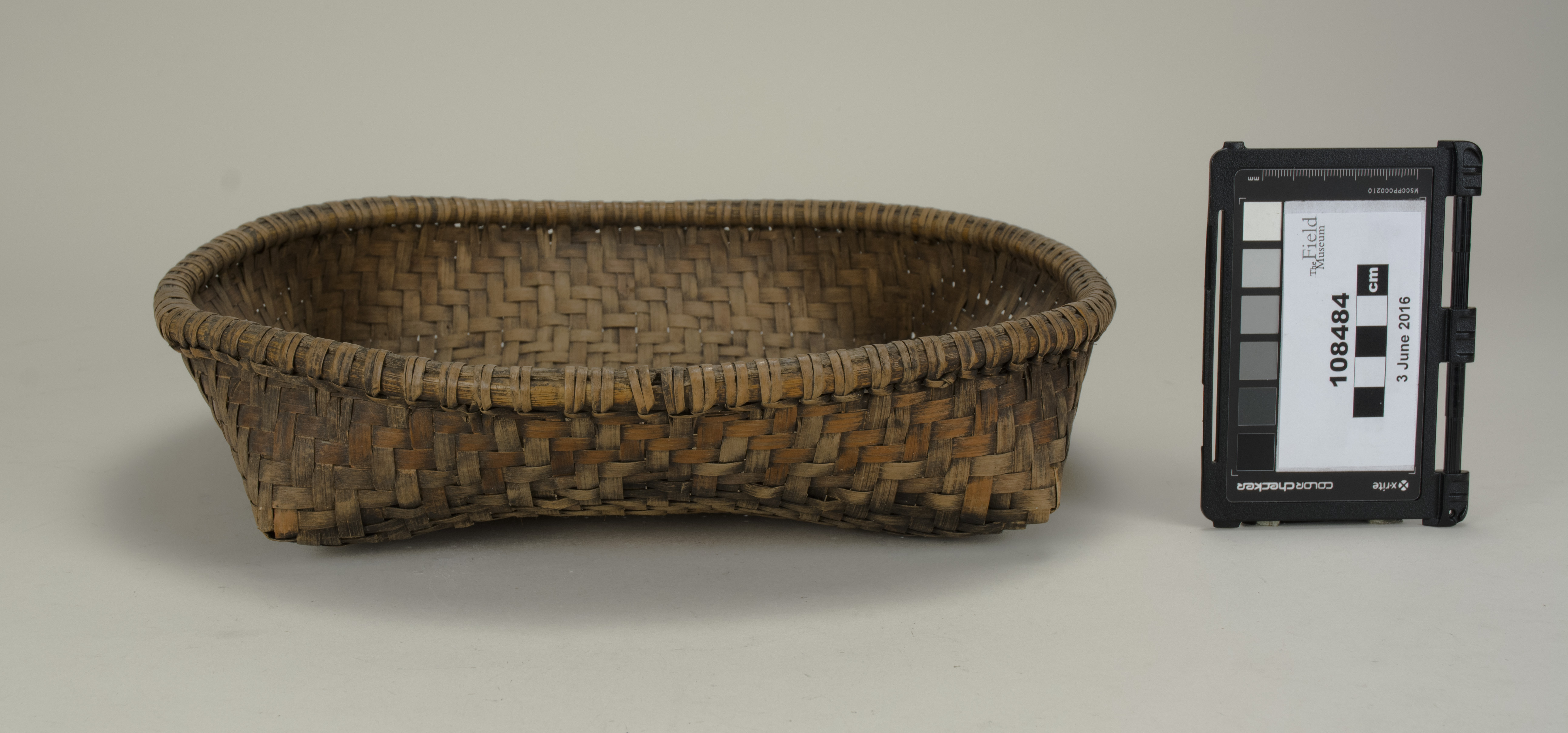 side (c) Field Museum of Natural History - CC BY-NC 4.0