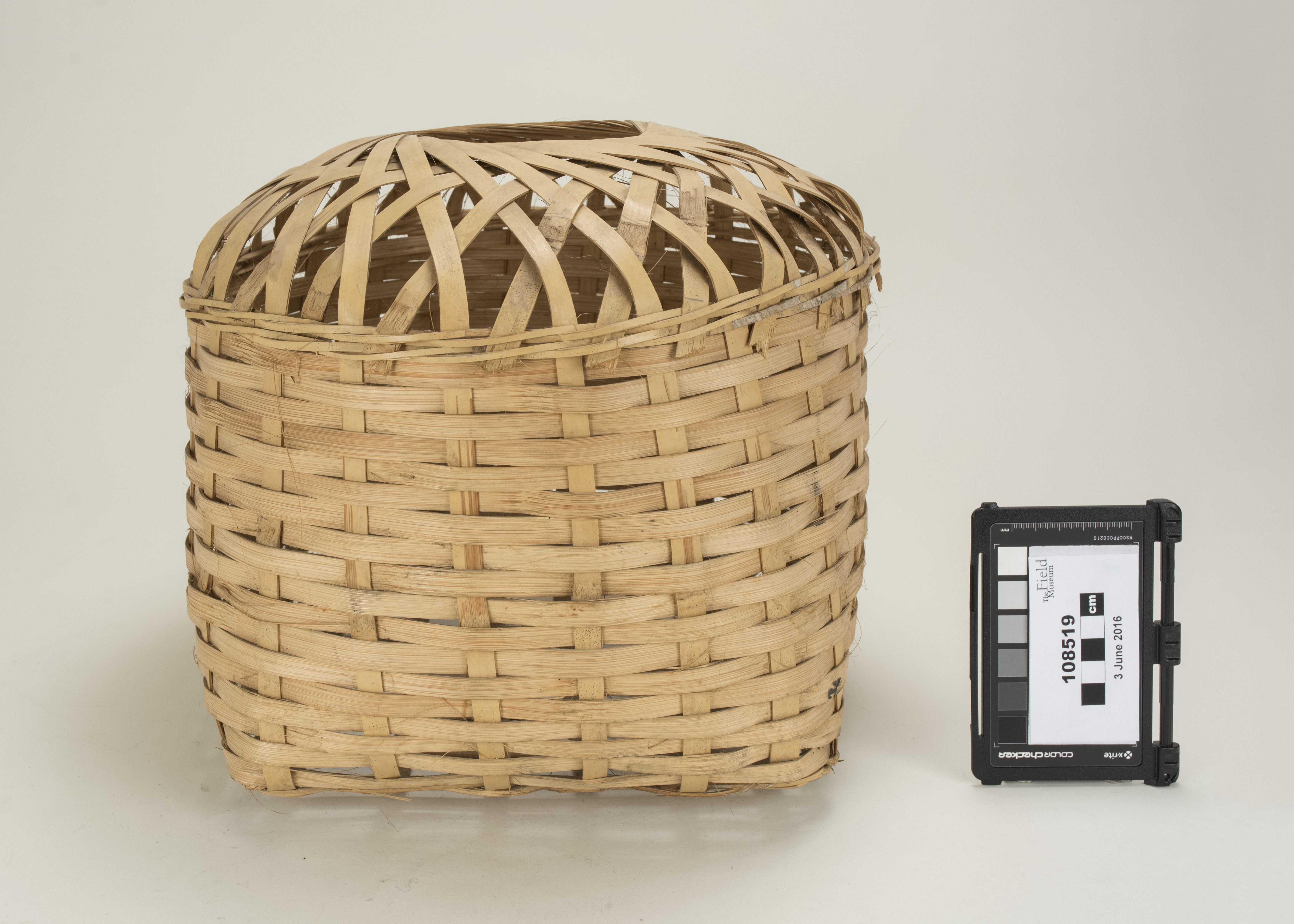 front (c) Field Museum of Natural History - CC BY-NC 4.0