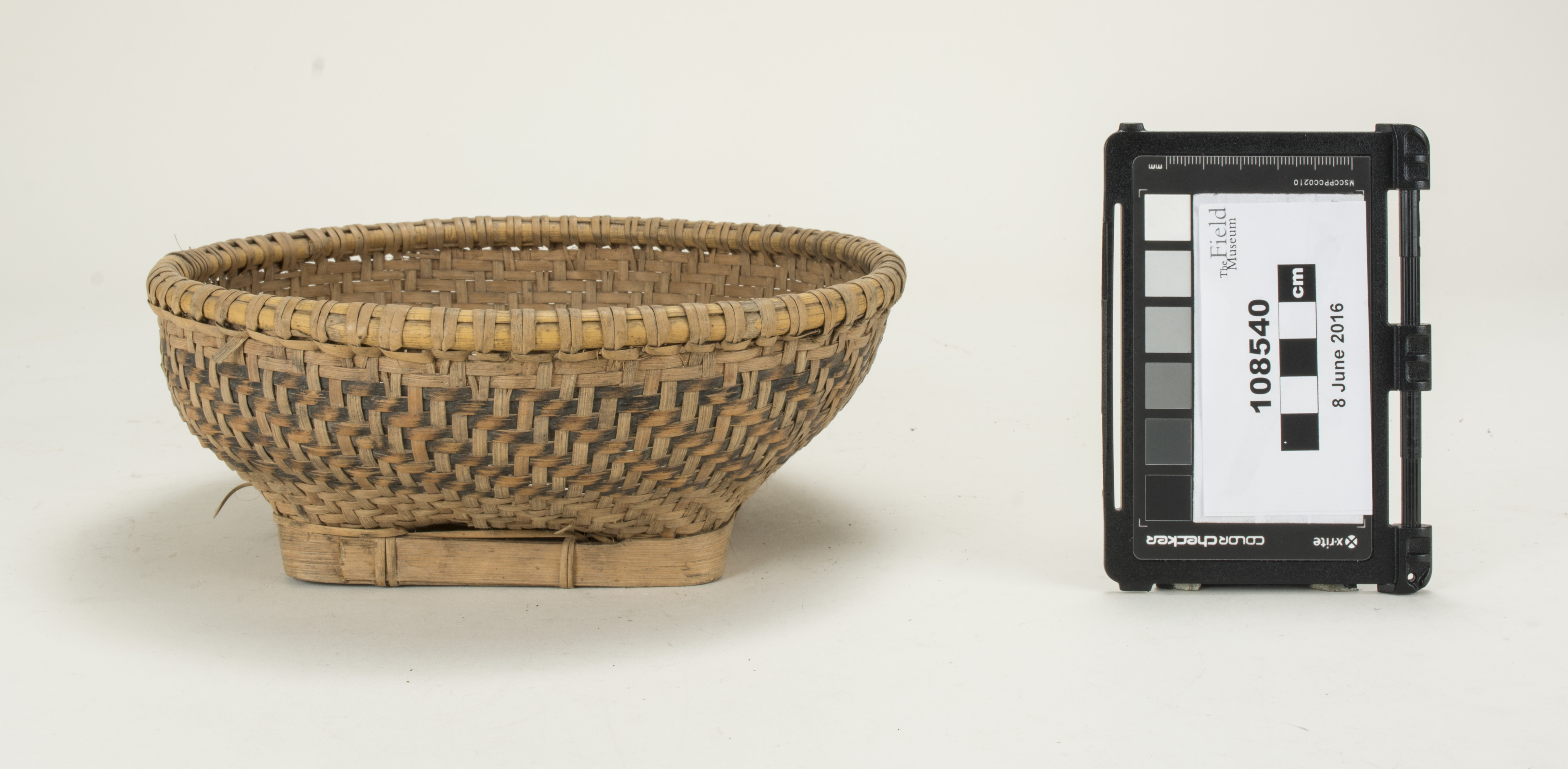 Front (c) Field Museum of Natural History - CC BY-NC 4.0