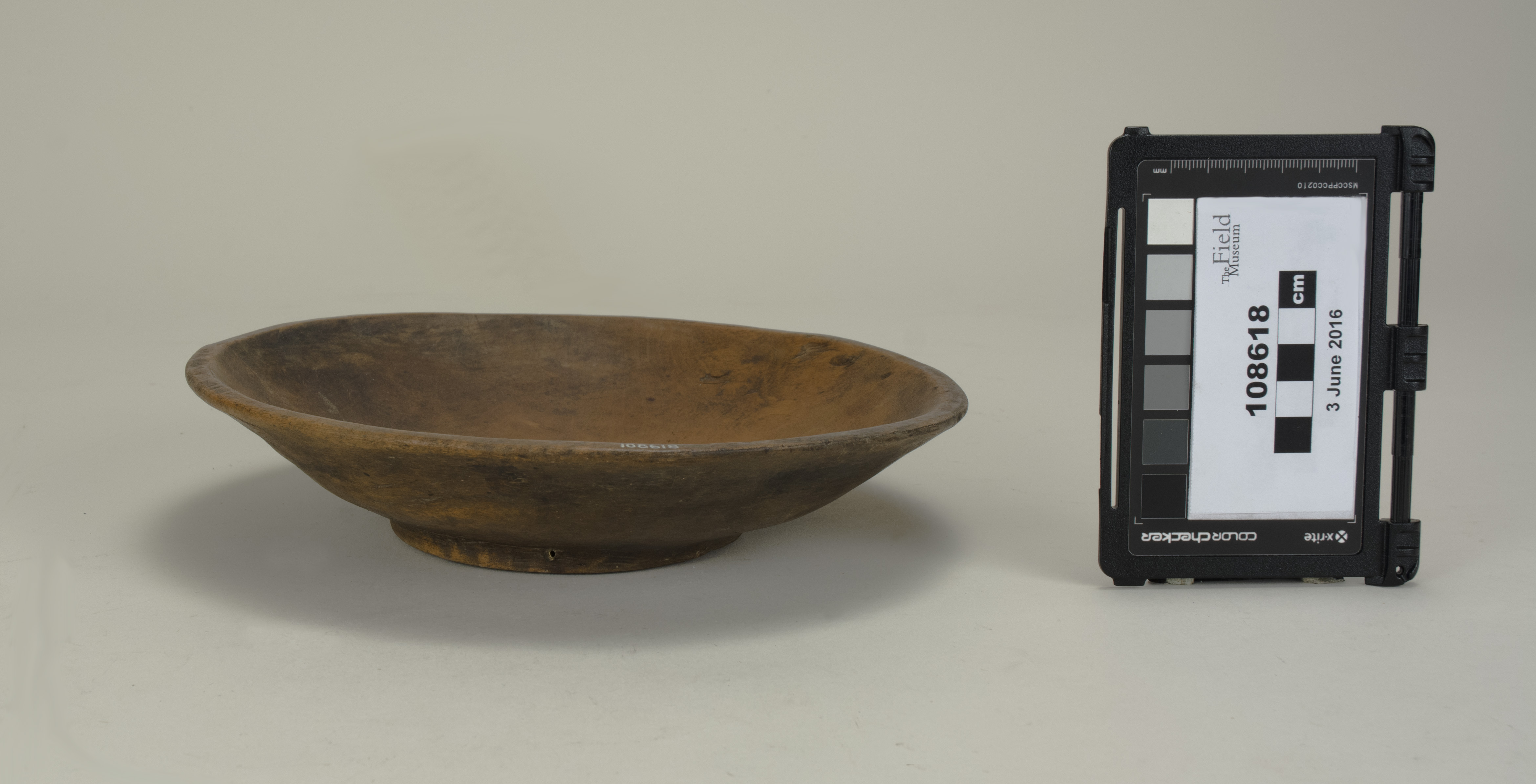 side (c) Field Museum of Natural History - CC BY-NC 4.0