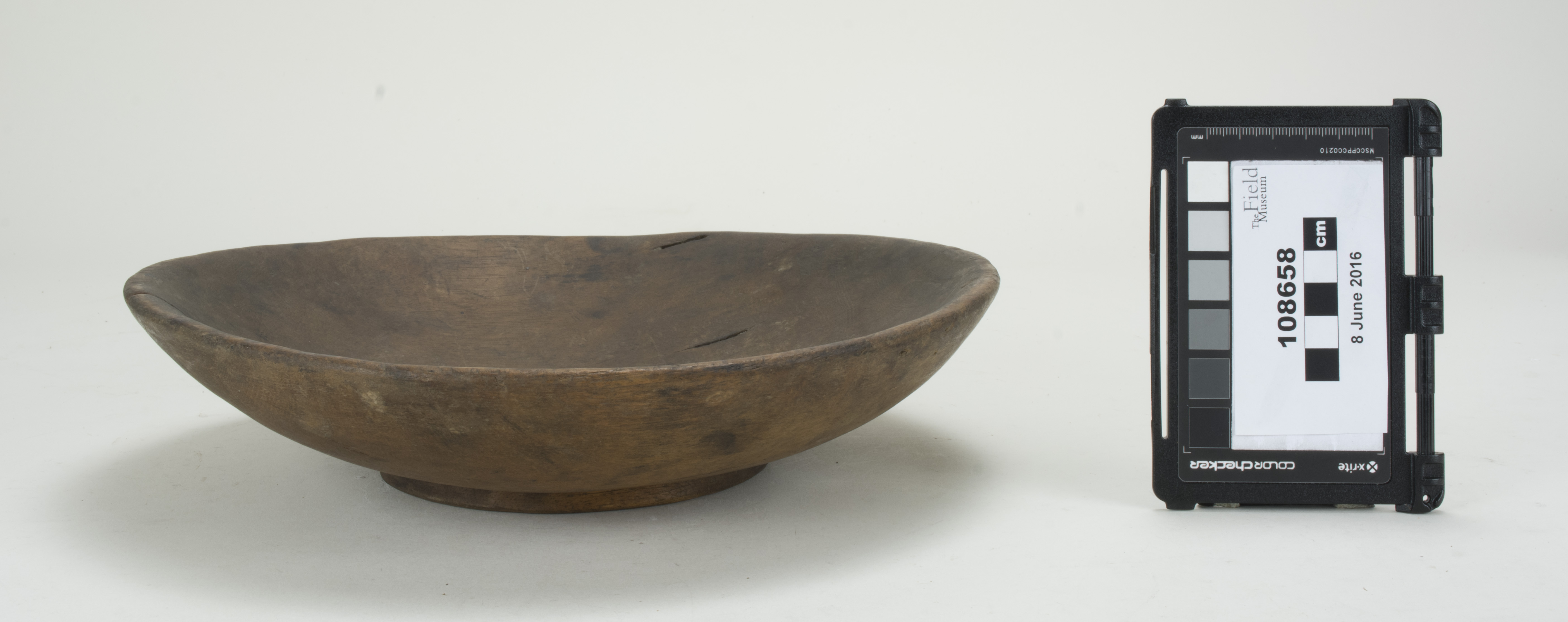 Front (c) Field Museum of Natural History - CC BY-NC 4.0