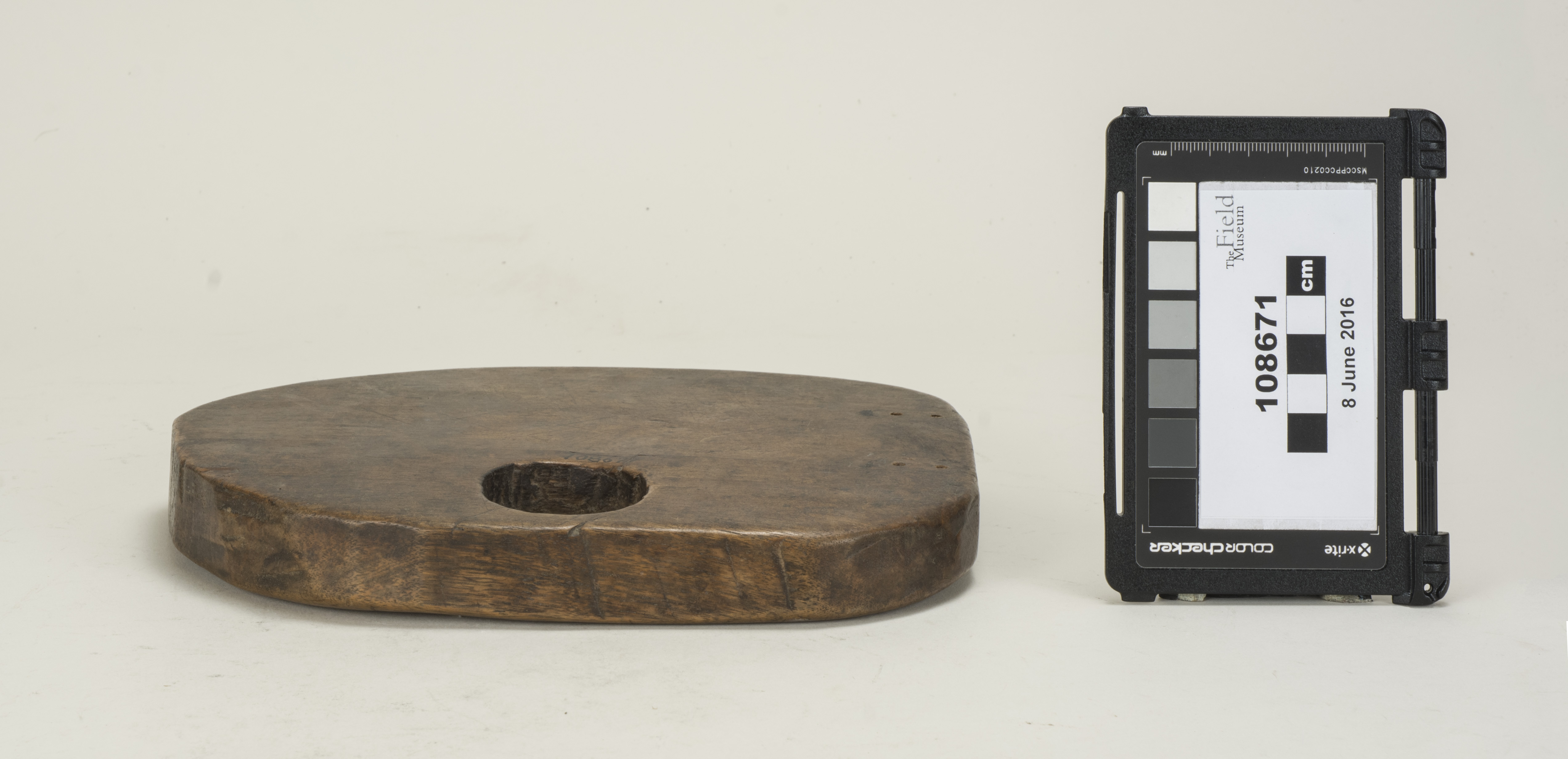 Front (c) Field Museum of Natural History - CC BY-NC 4.0