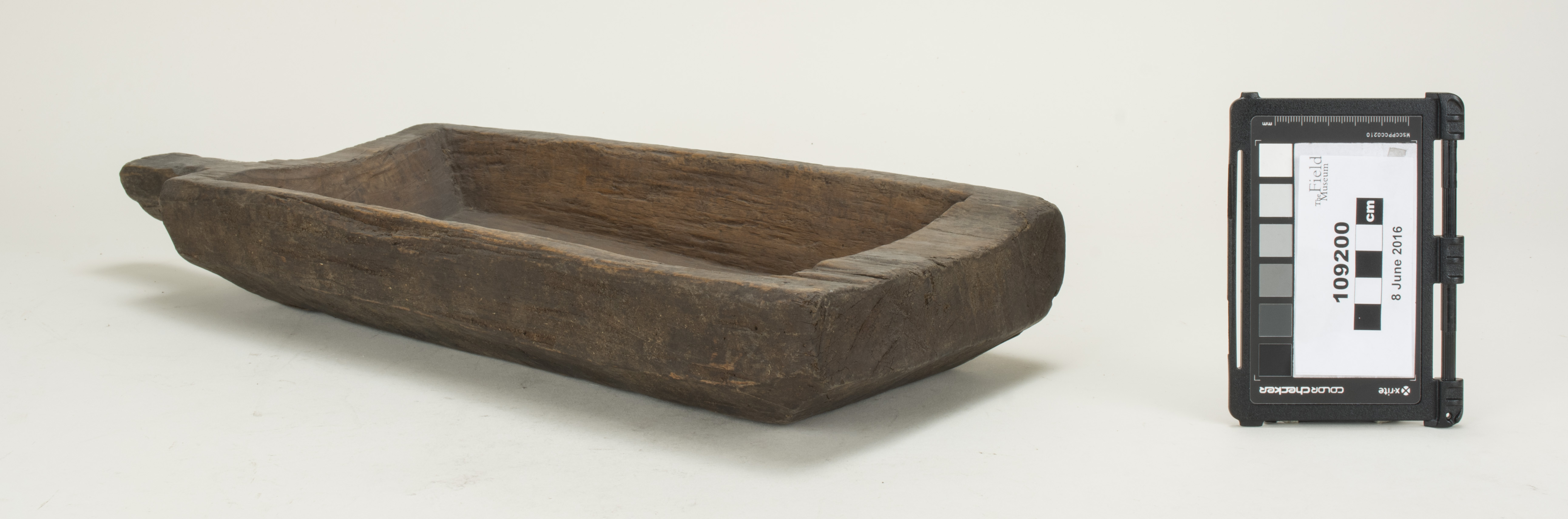 Front (c) Field Museum of Natural History - CC BY-NC 4.0