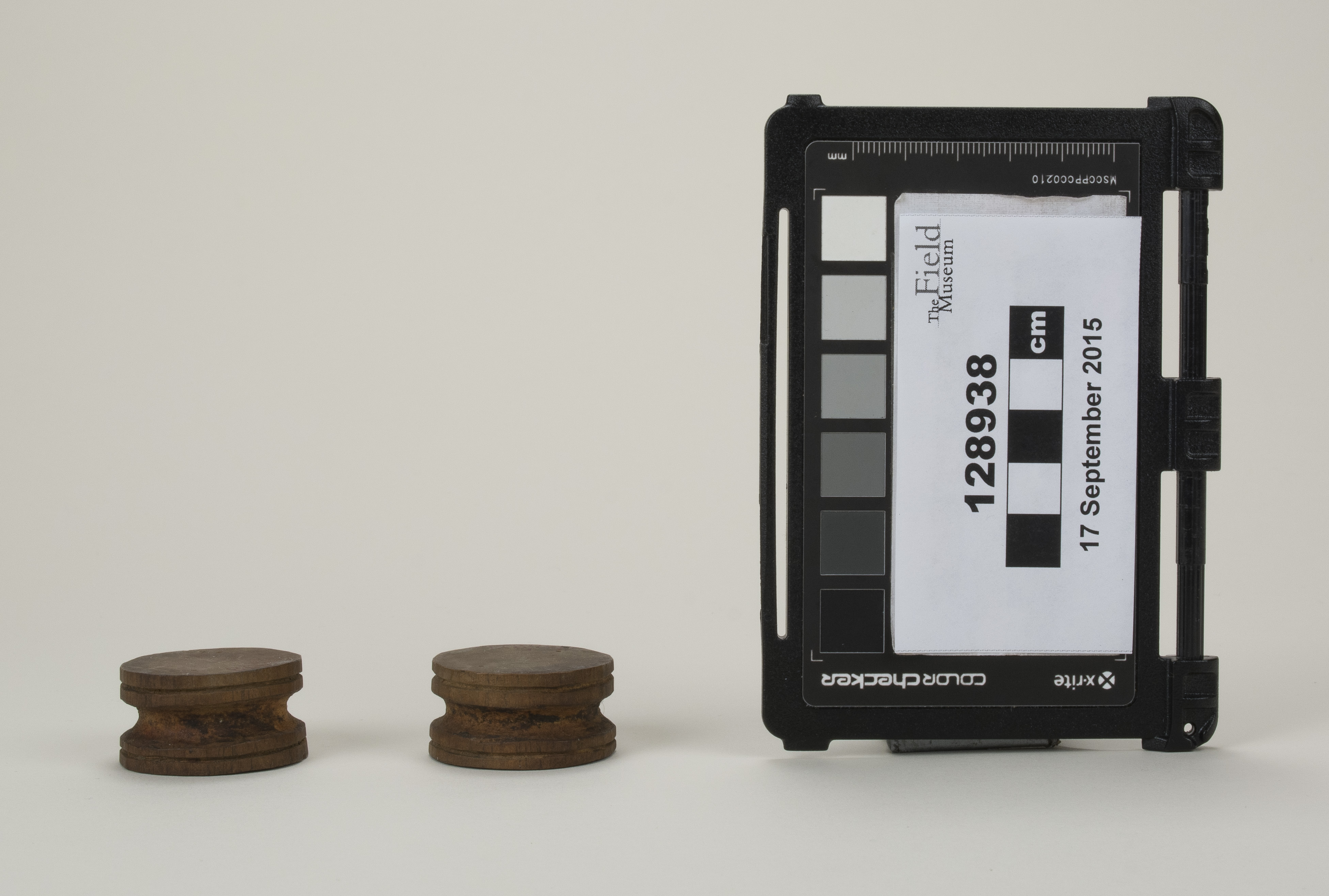 Side (c) Field Museum of Natural History - CC BY-NC 4.0