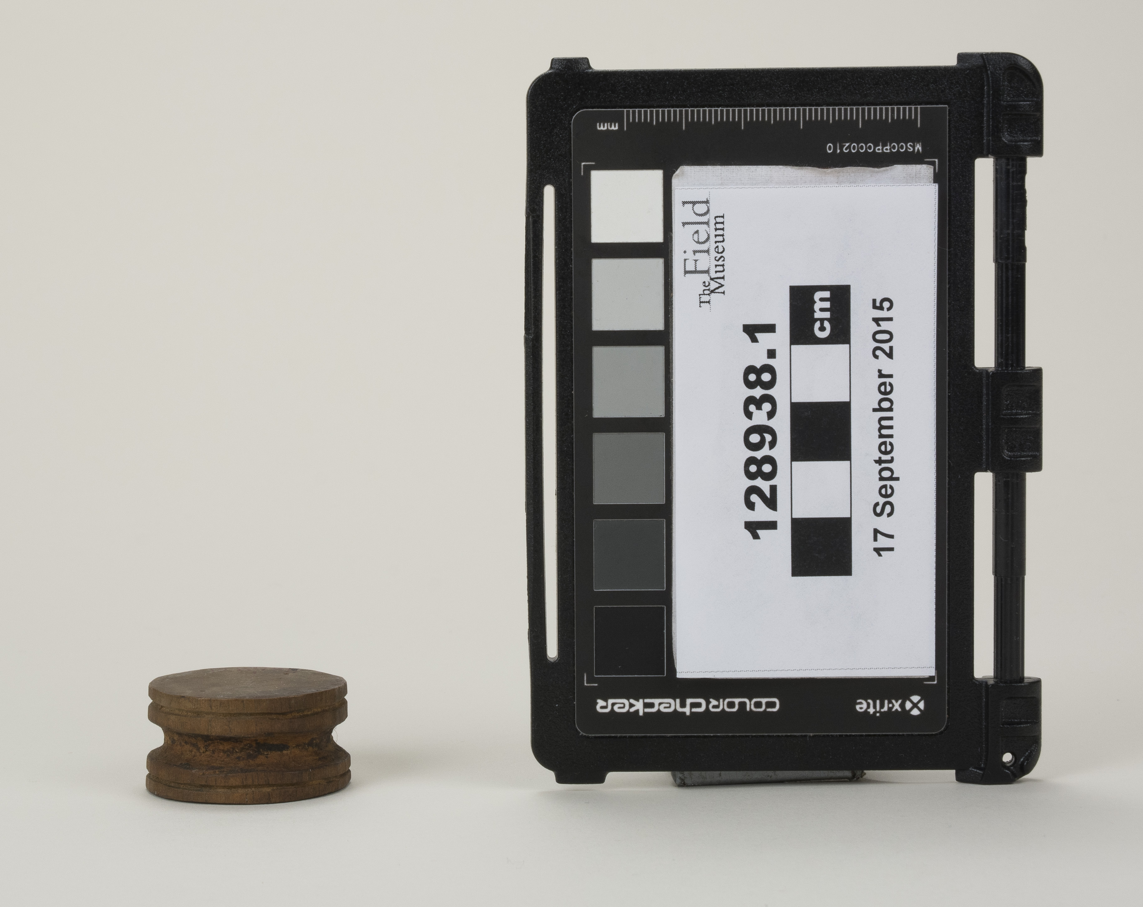 side (c) Field Museum of Natural History - CC BY-NC 4.0