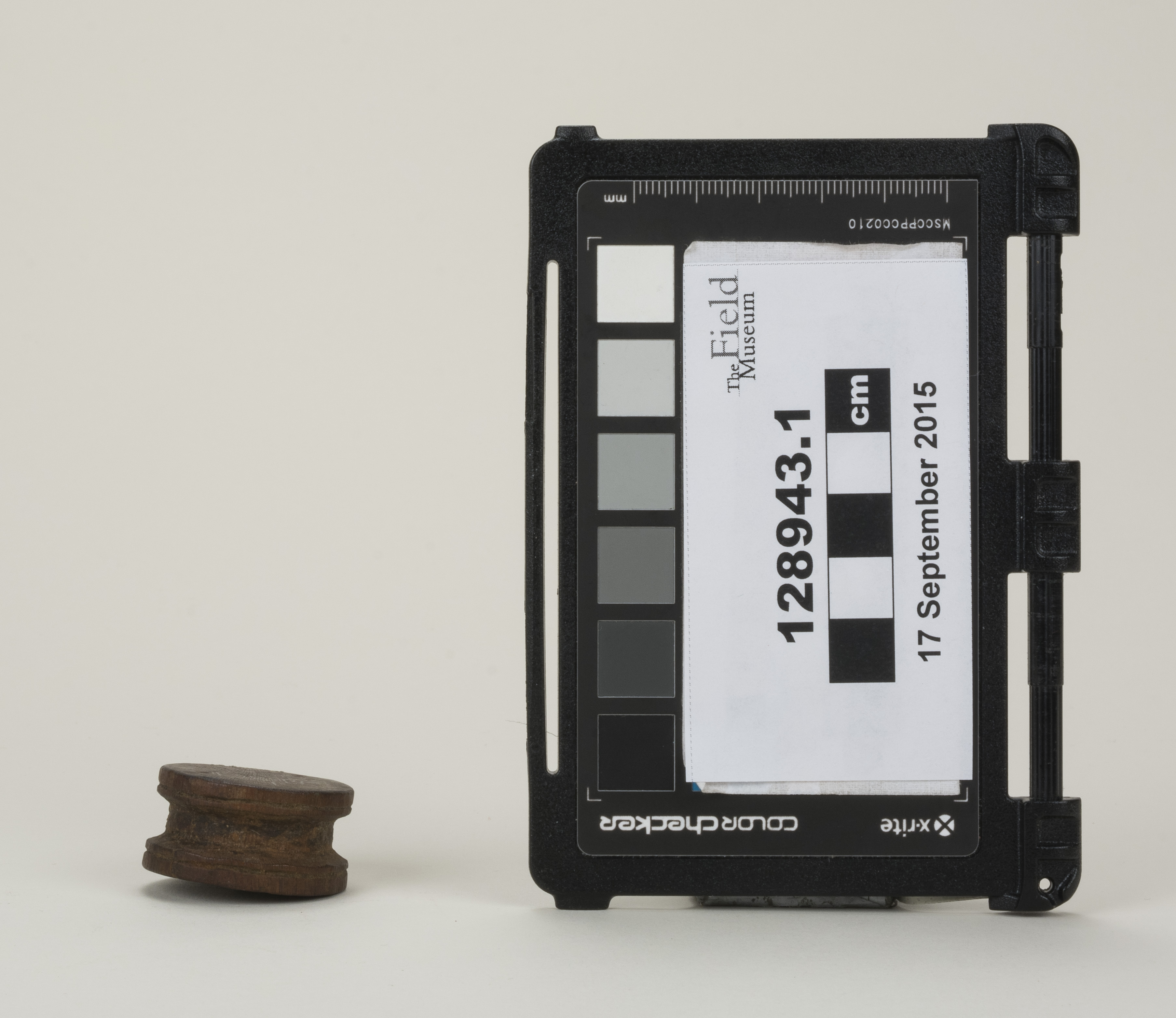 side (c) Field Museum of Natural History - CC BY-NC 4.0