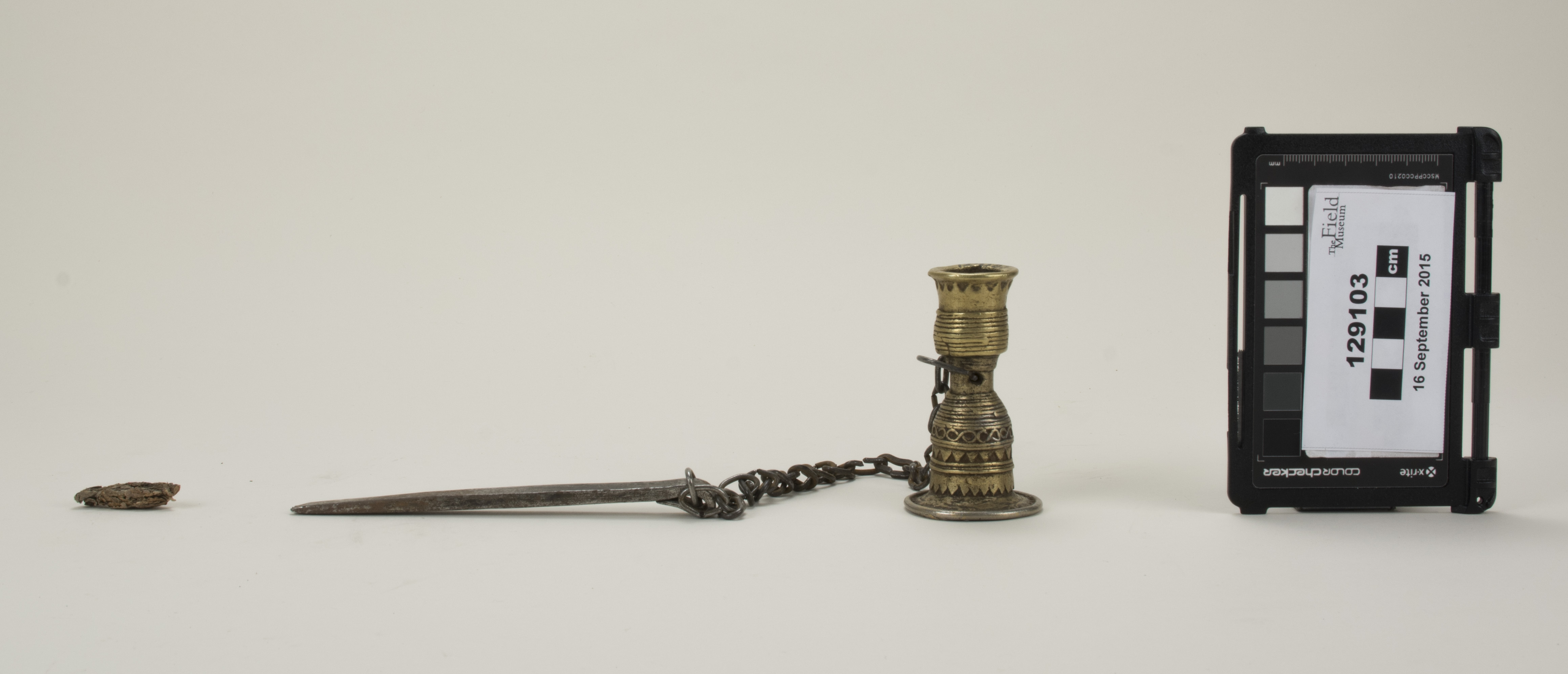 front (c) Field Museum of Natural History - CC BY-NC 4.0