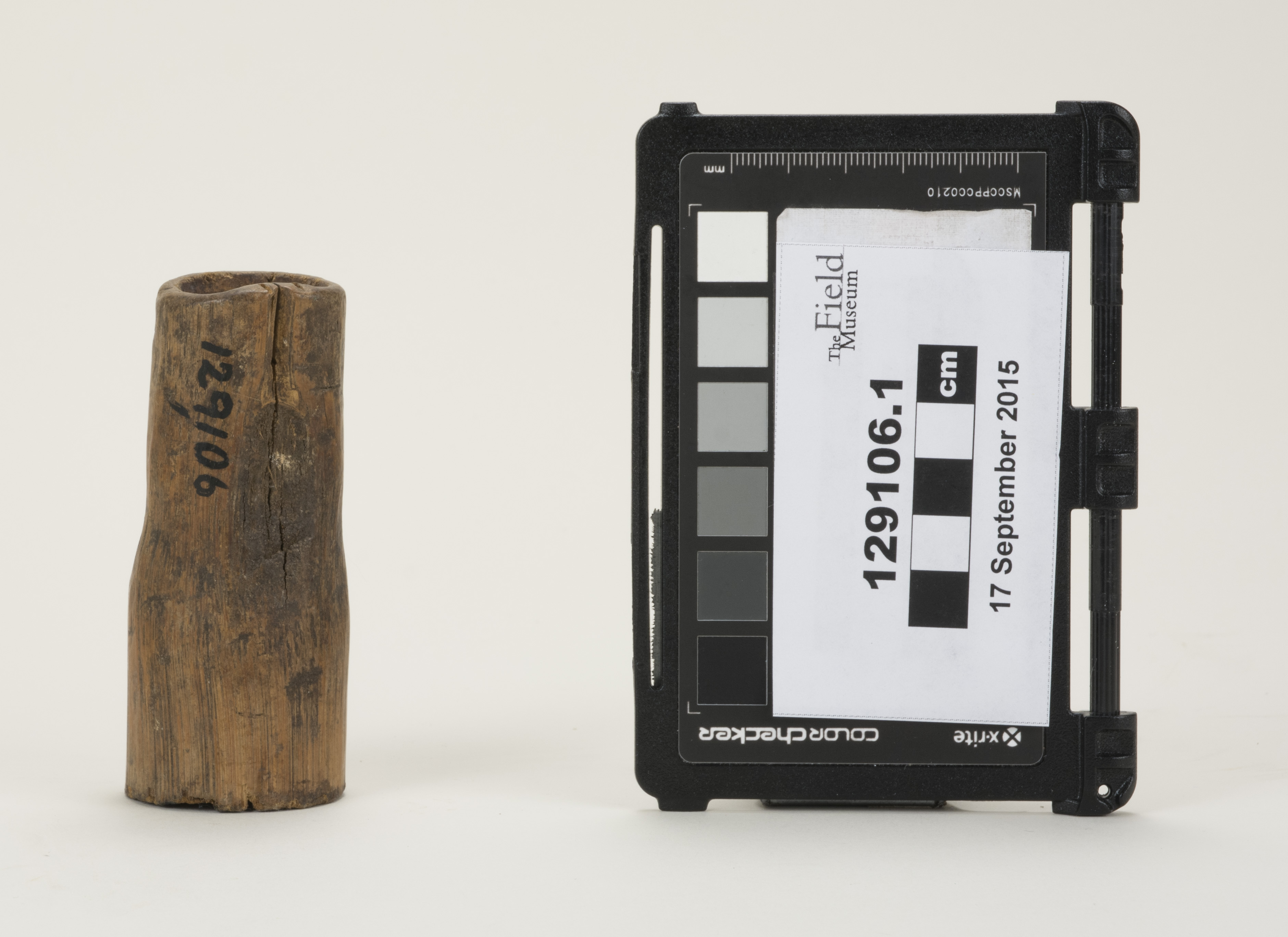 front (c) Field Museum of Natural History - CC BY-NC 4.0