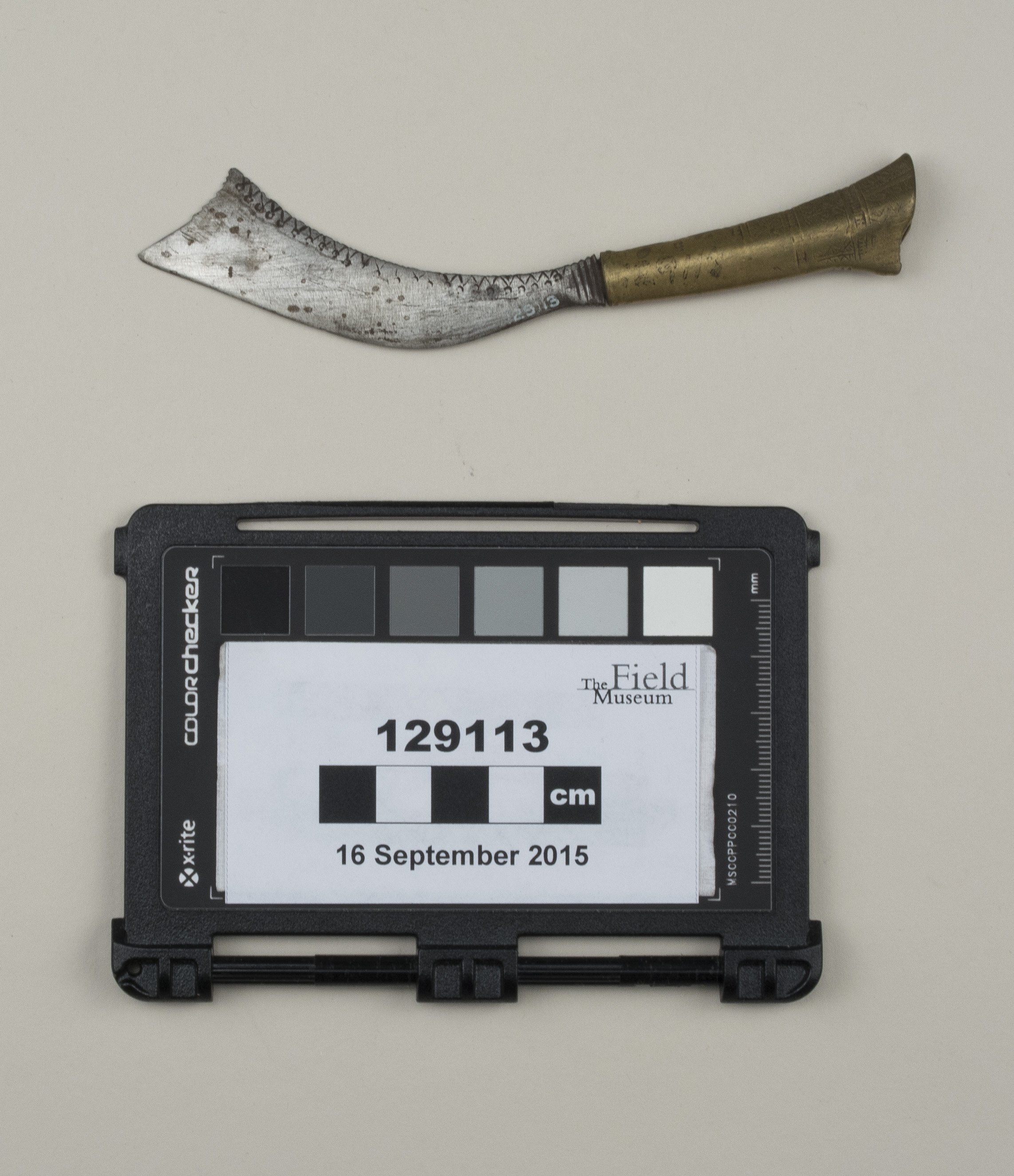 top (c) Field Museum of Natural History - CC BY-NC 4.0