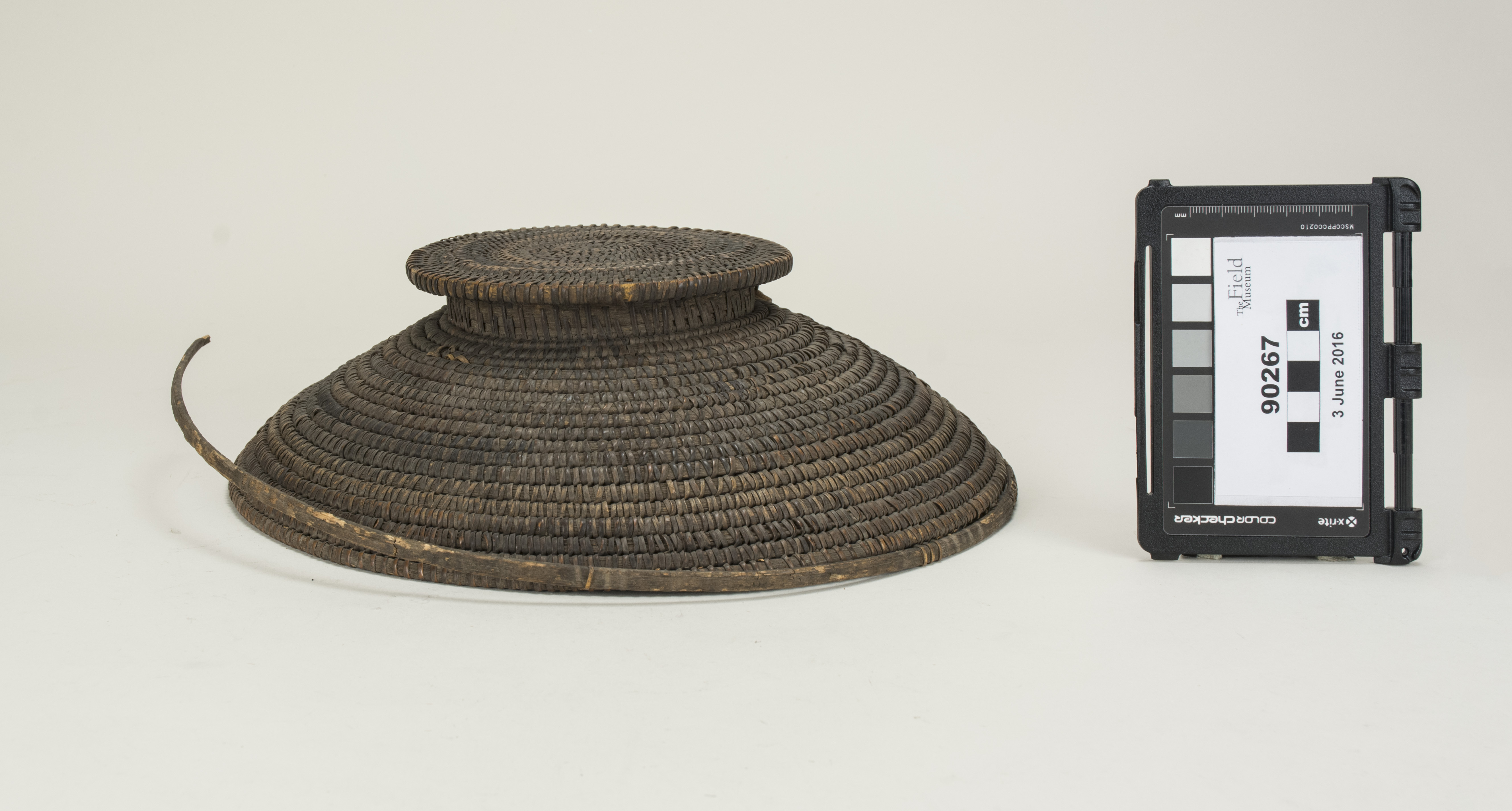 front (c) Field Museum of Natural History - CC BY-NC 4.0