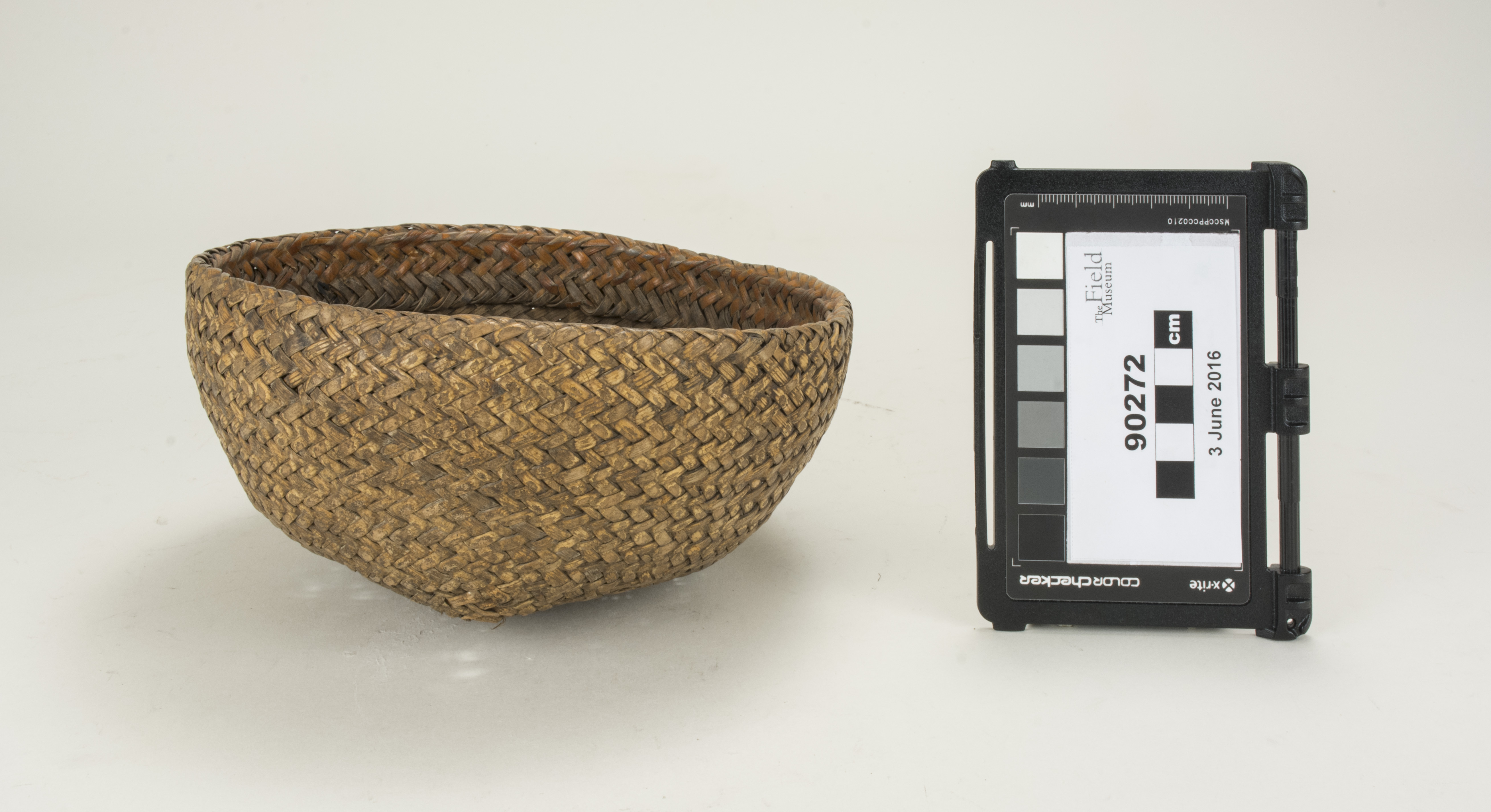 front (c) Field Museum of Natural History - CC BY-NC 4.0