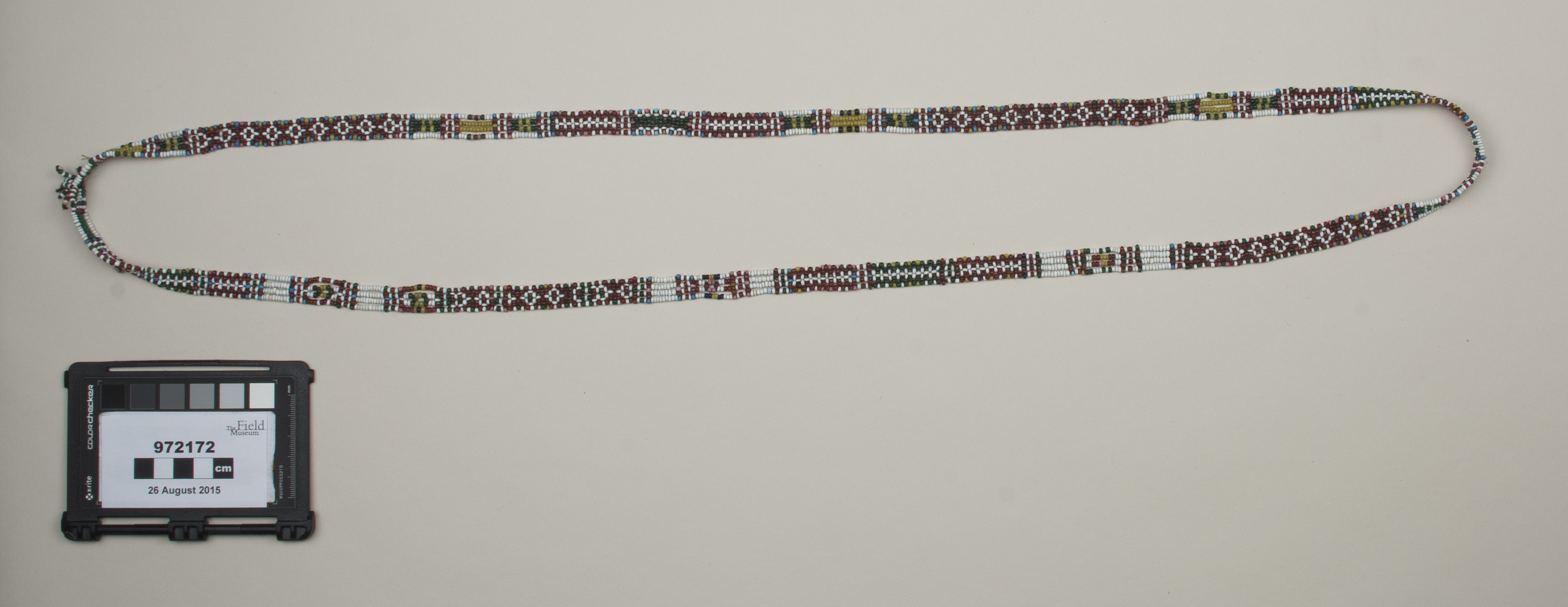 top (c) Field Museum of Natural History - CC BY-NC 4.0