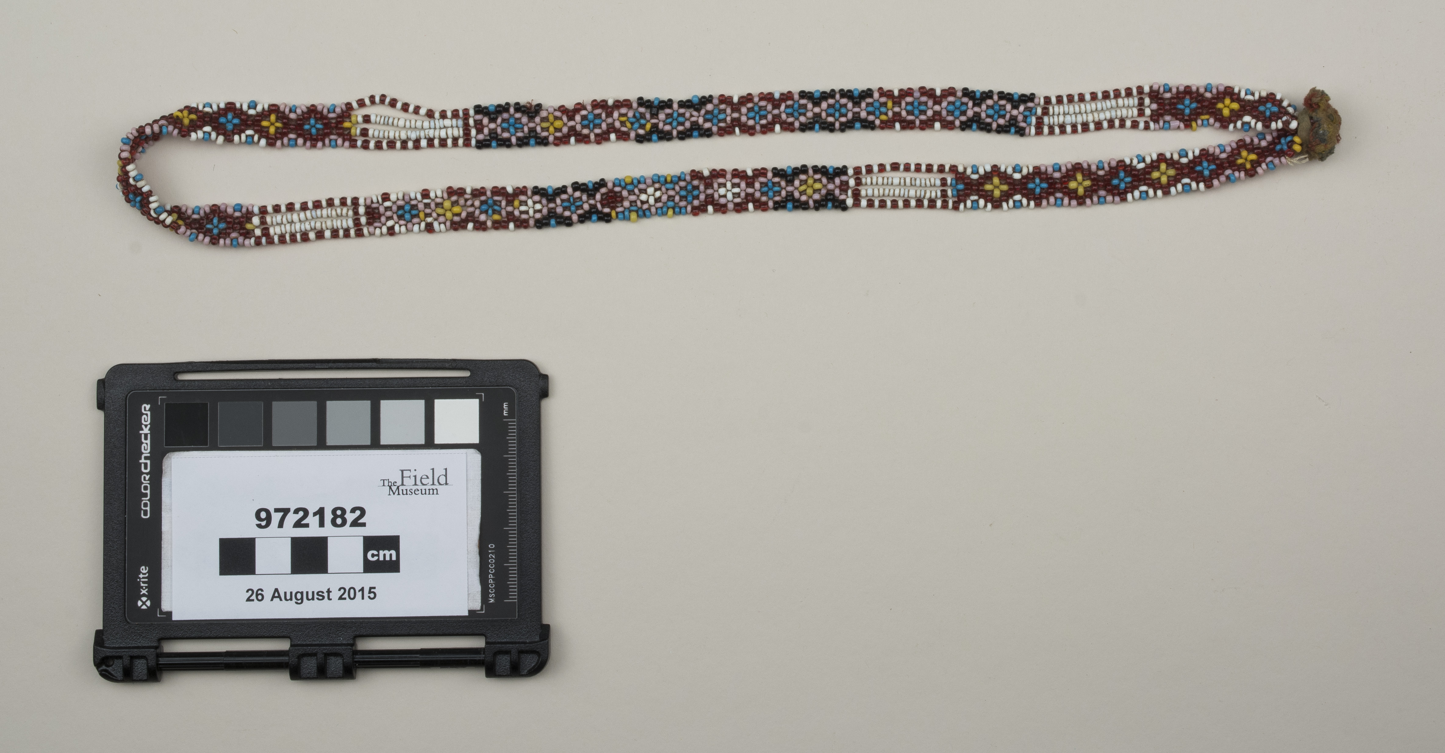 top (c) Field Museum of Natural History - CC BY-NC 4.0