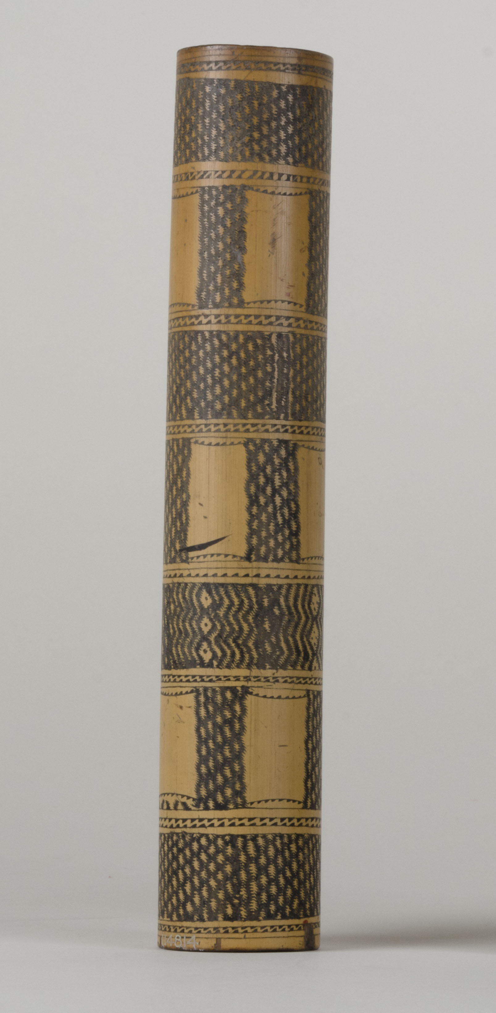 Front view without scale (c) Field Museum of Natural History - CC BY-NC 4.0