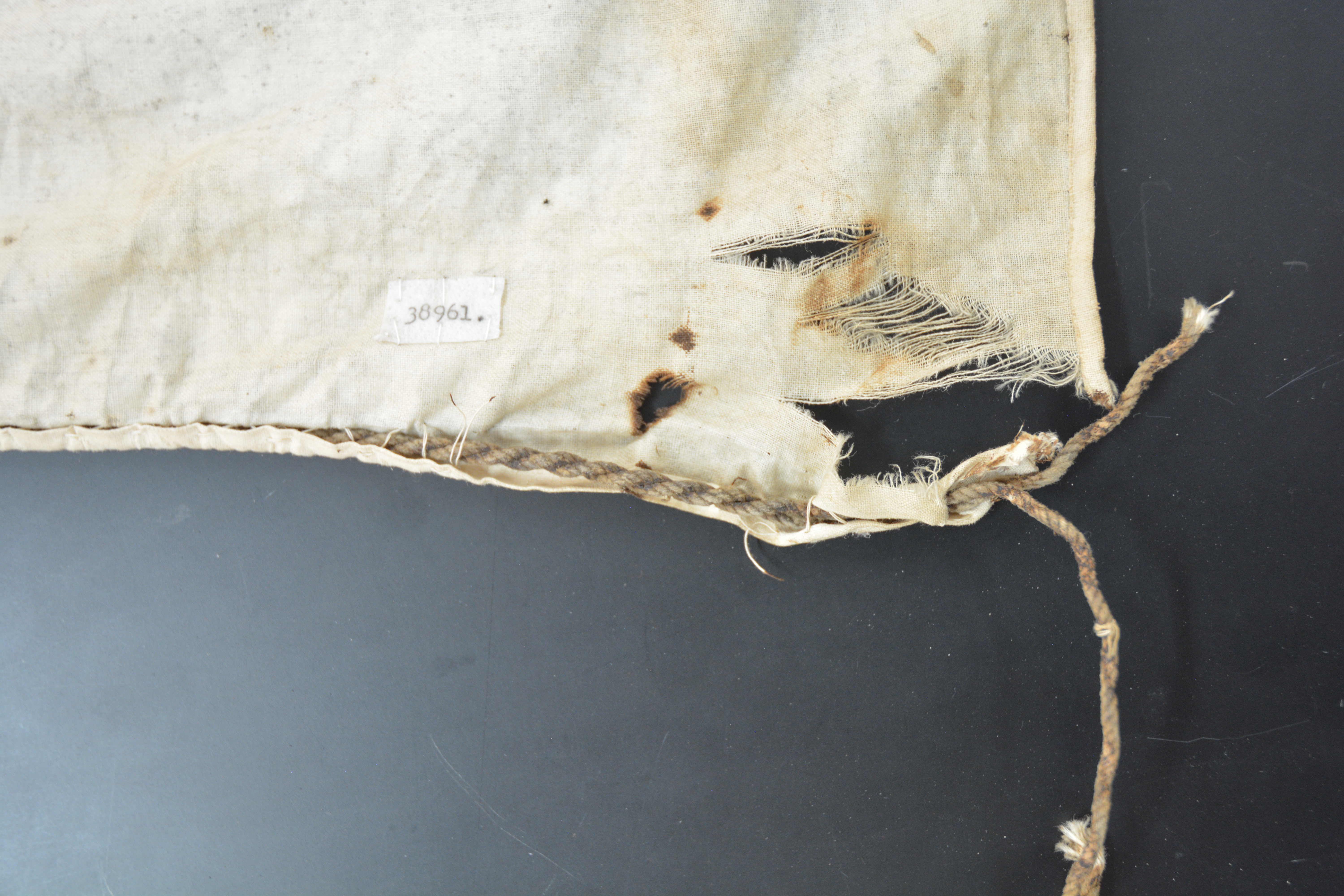 Top detail view of damaged edge (c) Field Museum of Natural History - CC BY-NC 4.0