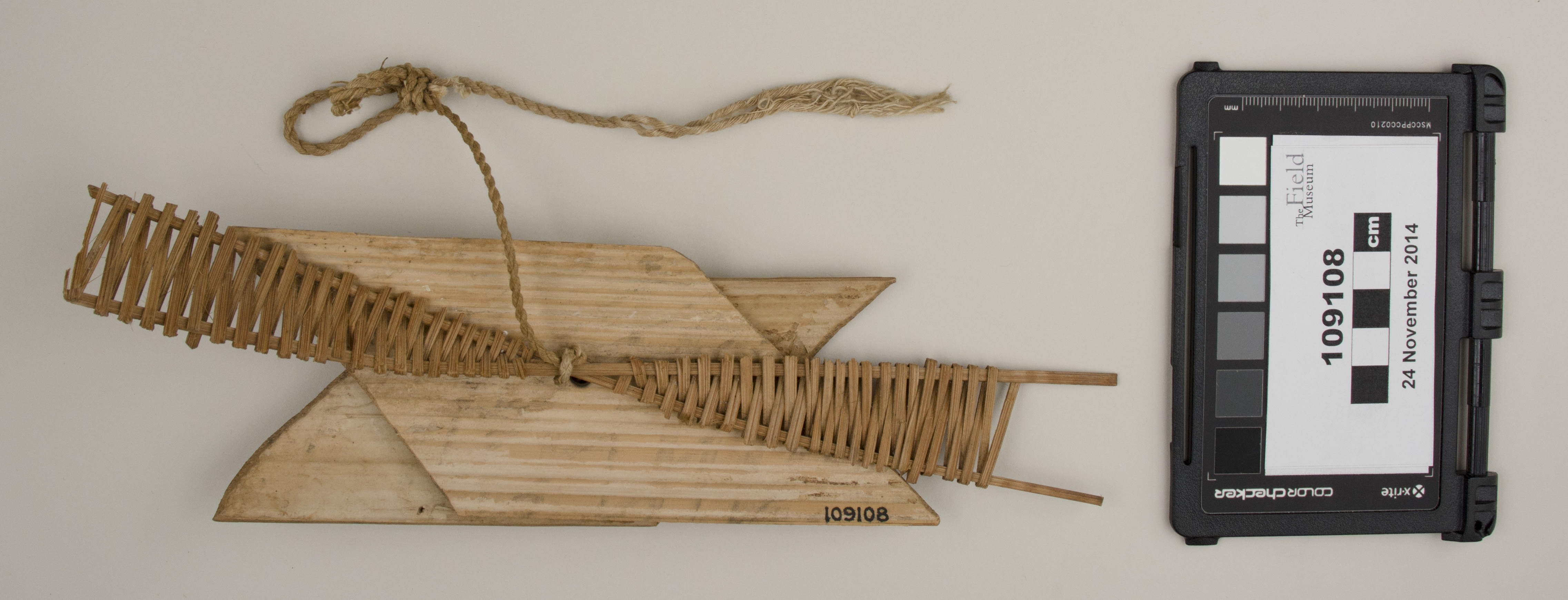 top (c) Field Museum of Natural History - CC BY-NC 4.0