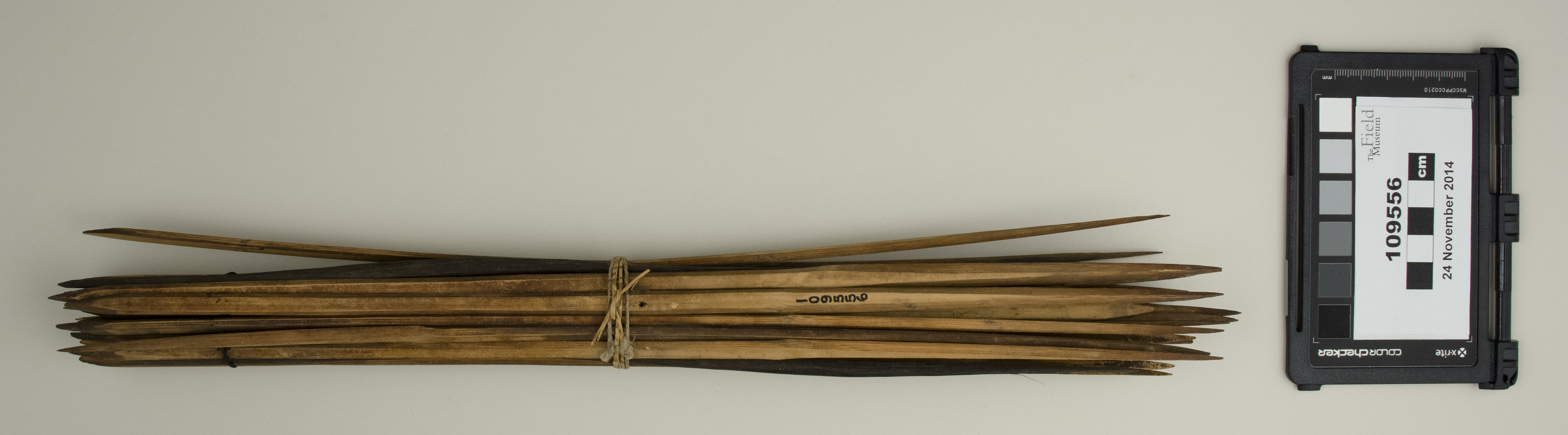 top (c) Field Museum of Natural History - CC BY-NC 4.0