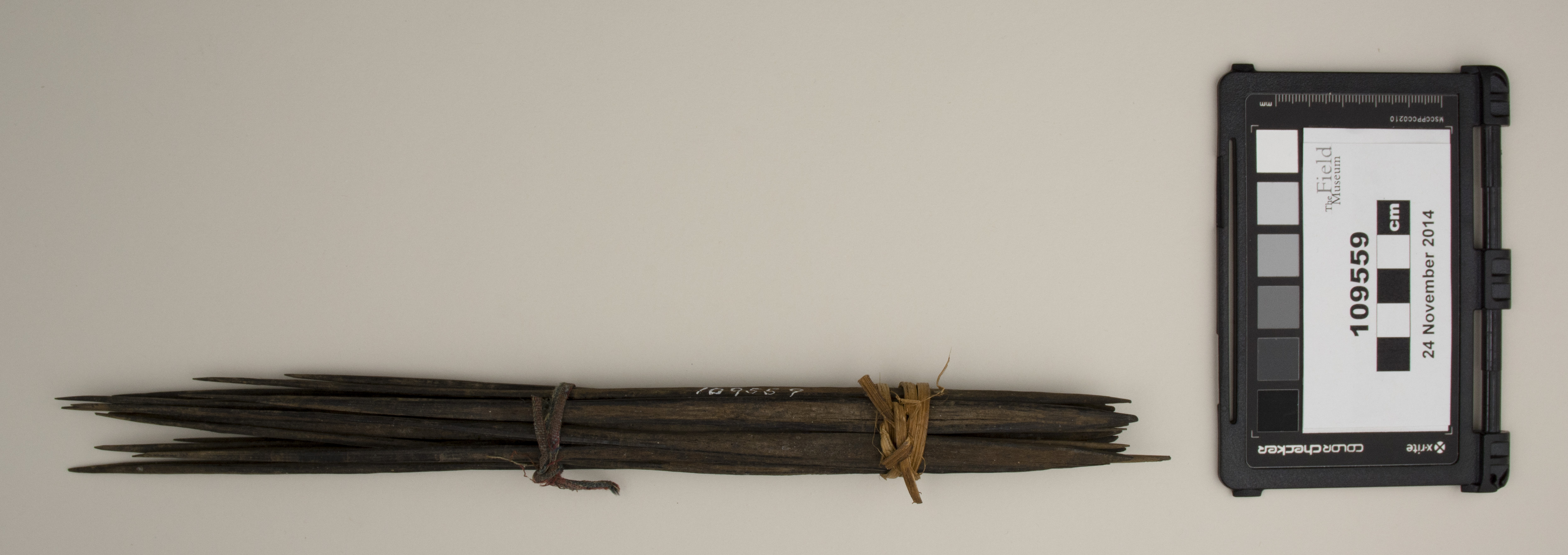 top (c) Field Museum of Natural History - CC BY-NC 4.0