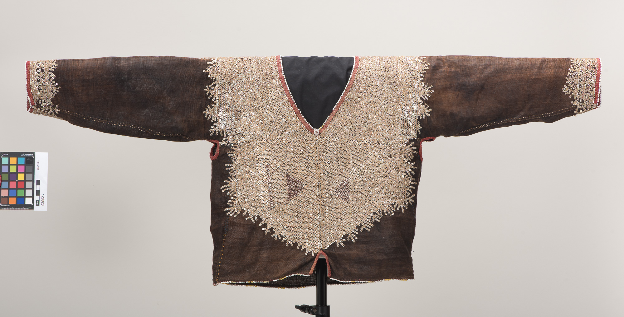 As mounted front overall (c) Field Museum of Natural History - CC BY-NC 4.0