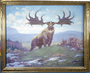 Irish Deer (Elk?), Megaloceros. Cenozoic era. Charles R. Knight. Study painting