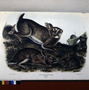 Grey Rabbit, Lepus sylvaticus. Volume I, Plate 22. The Viviparous Quadrupeds of North America (1846-1854). John James Audubon. Print from Rare Book.