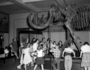 School children and Coplen Mammoth fossil in Hall 38. For Raymond Foundation. Charles R. Knight murals in the background.