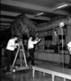 Preparing the educational television program "Down to Earth" with New Trier High School Students and Ernest Roscoe (center), Raymond Foundation with Mrs. Penny Kneipper, a sixth grade teacher in Wilmette. The Audio Visual [AV] project filmed with movie cameras, microphones and two student moderators.  Charles Knight murals in background, fossil exhibits in Hall 38.