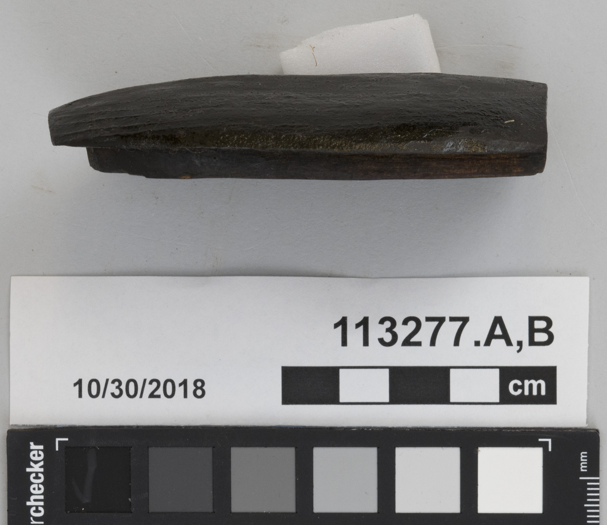 .A: p.r. (c) Field Museum of Natural History - CC BY-NC 4.0