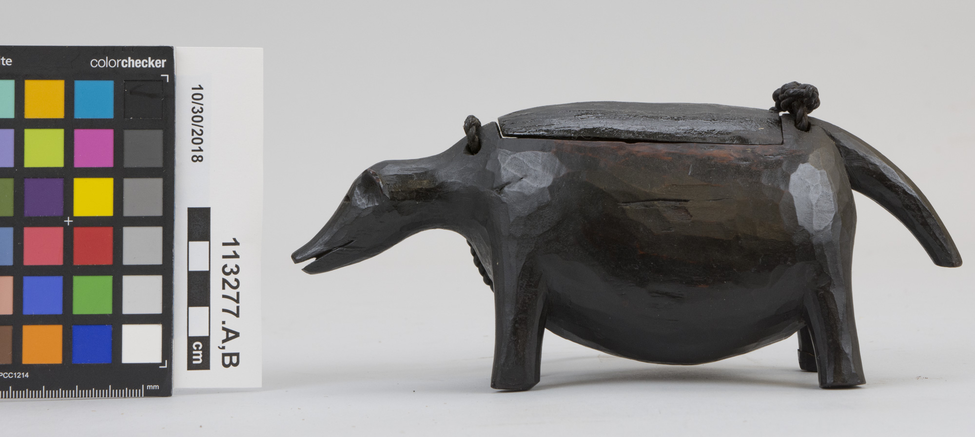 .A,B: p.l. (c) Field Museum of Natural History - CC BY-NC 4.0