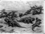 Protoceratops andrewsi, Mesozoic. Painting by Charles R. Knight 1927. Primitive ceratopsian dinosaur with its eggs, found in the Gobi desert of Mongolia, July 13, 1923. Painting also called "Egg Laying Dinosaurs." or Protoceratops and Its Eggs.