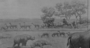 Detail from Miocene Plains Mammals Cenozoic era. Painting by Charles R. Knight, GE572. Copy of newspaper article, not the FM image.