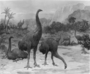 Giant Moas of New Zealand. Dinornis, Great extinct bird. Cenozoic Era. Restoration painting by Charles R. Knight.