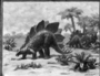 Stegosaurus, armored dinosaur restoration. Study or sketch for mural by  Charles R. Knight