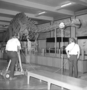 Preparing the educational television program "Down to Earth" with New Trier High School Students and Ernest Roscoe, Raymond Foundation with Mrs. Penny Kneipper, a sixth grade teacher in Wilmette. The Audio Visual [AV] project filmed with movie cameras, microphones and two student moderators.  Charles Knight murals in background, fossil exhibits in Hall 38.