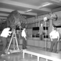 Preparing the educational television program "Down to Earth" with New Trier High School Students and Ernest Roscoe, Raymond Foundation with Mrs. Penny Kneipper, a sixth grade teacher in Wilmette. The Audio Visual [AV] project filmed with movie cameras, microphones and two student moderators.  Charles Knight murals in background, fossil exhibits in Hall 38.