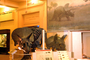 Triceratops model and Charles Knight mural of Triceratops. Life Over Time hall. DNA to Dinosaurs exhibit.