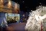 Mammoth Bone Hut and Charles Knight painting of La Brea Tar Pools. Teeth, Tusks, And Tar Pits exhibit progress of installation by preparators.