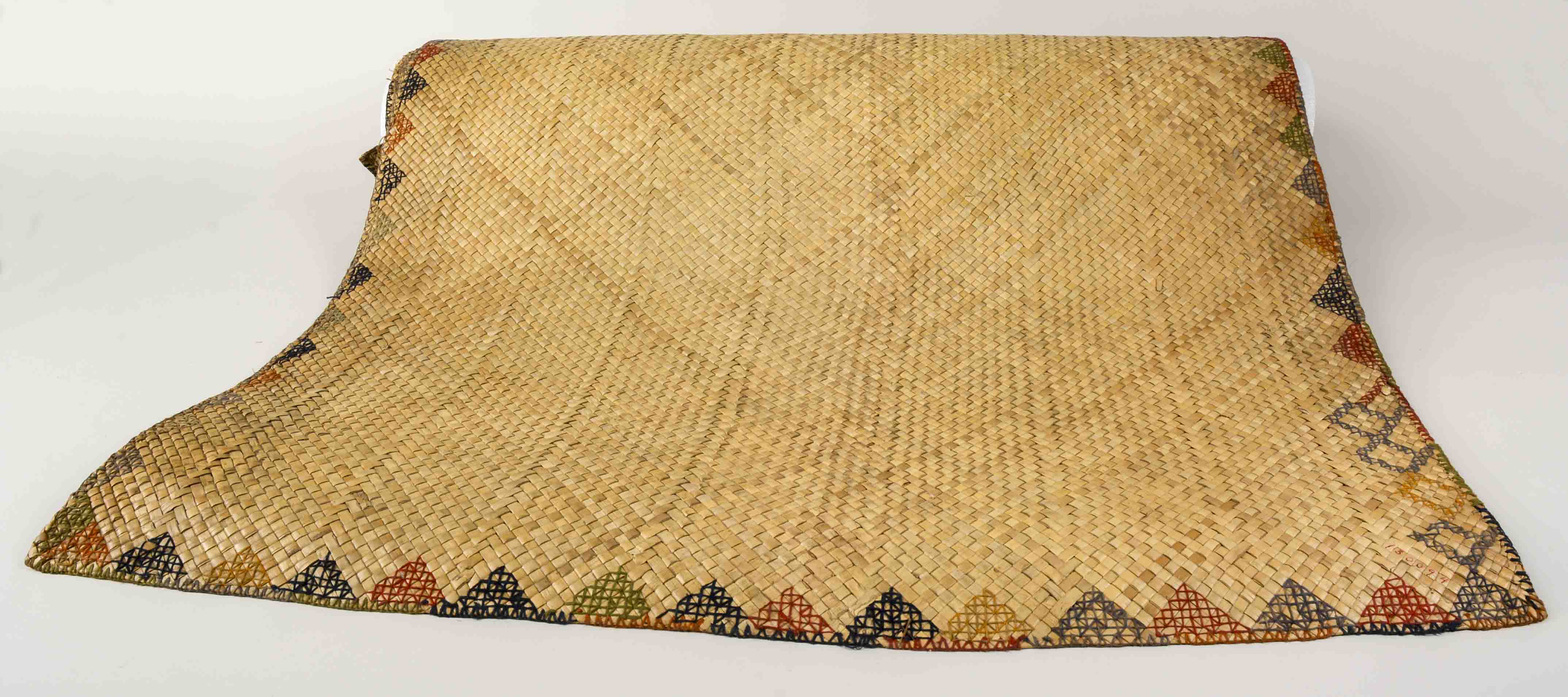 Reference image, overall view partially unrolled (c) Field Museum of Natural History