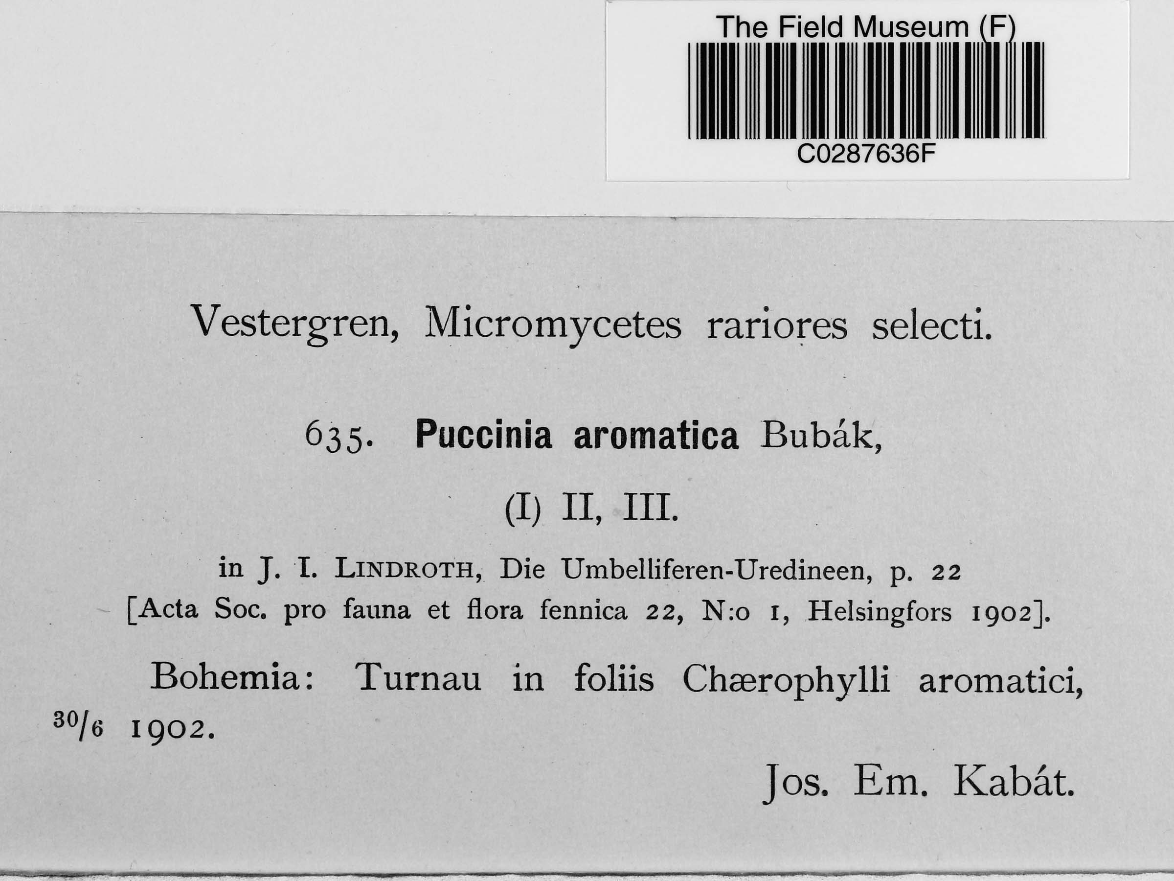 Puccinia aromatica