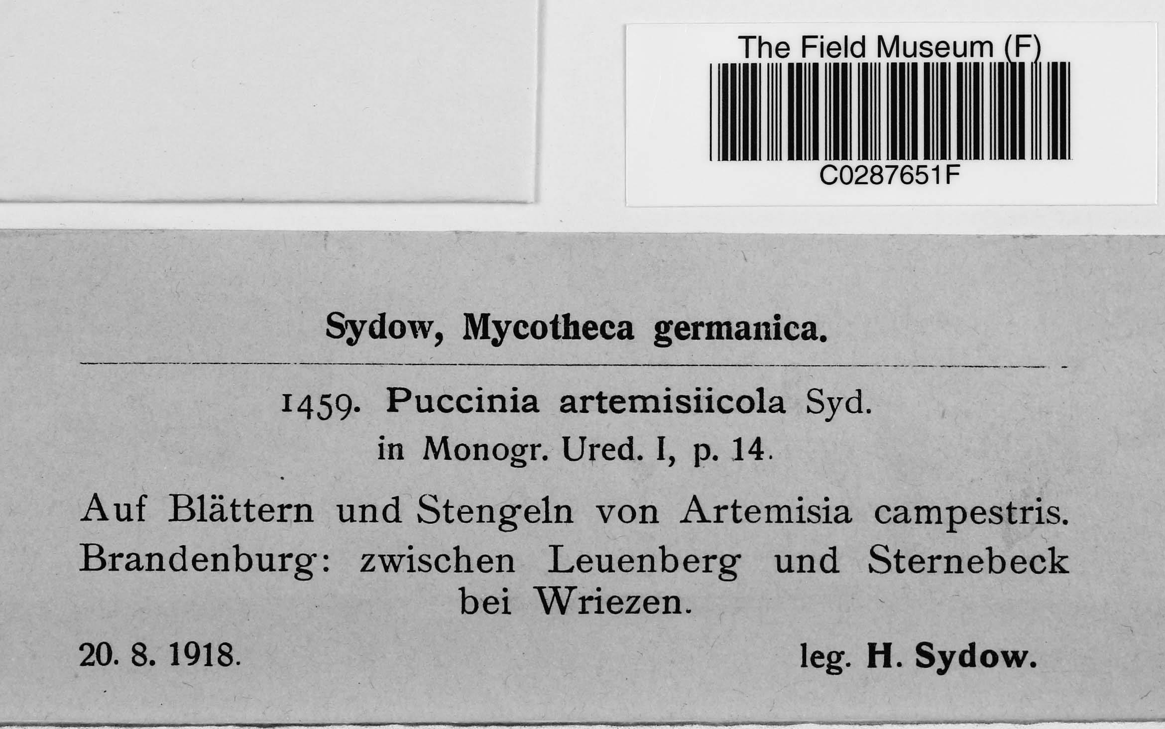 MyCoPortal Detailed Collection Record Information