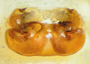 Scotinotylus boreus female epigynum