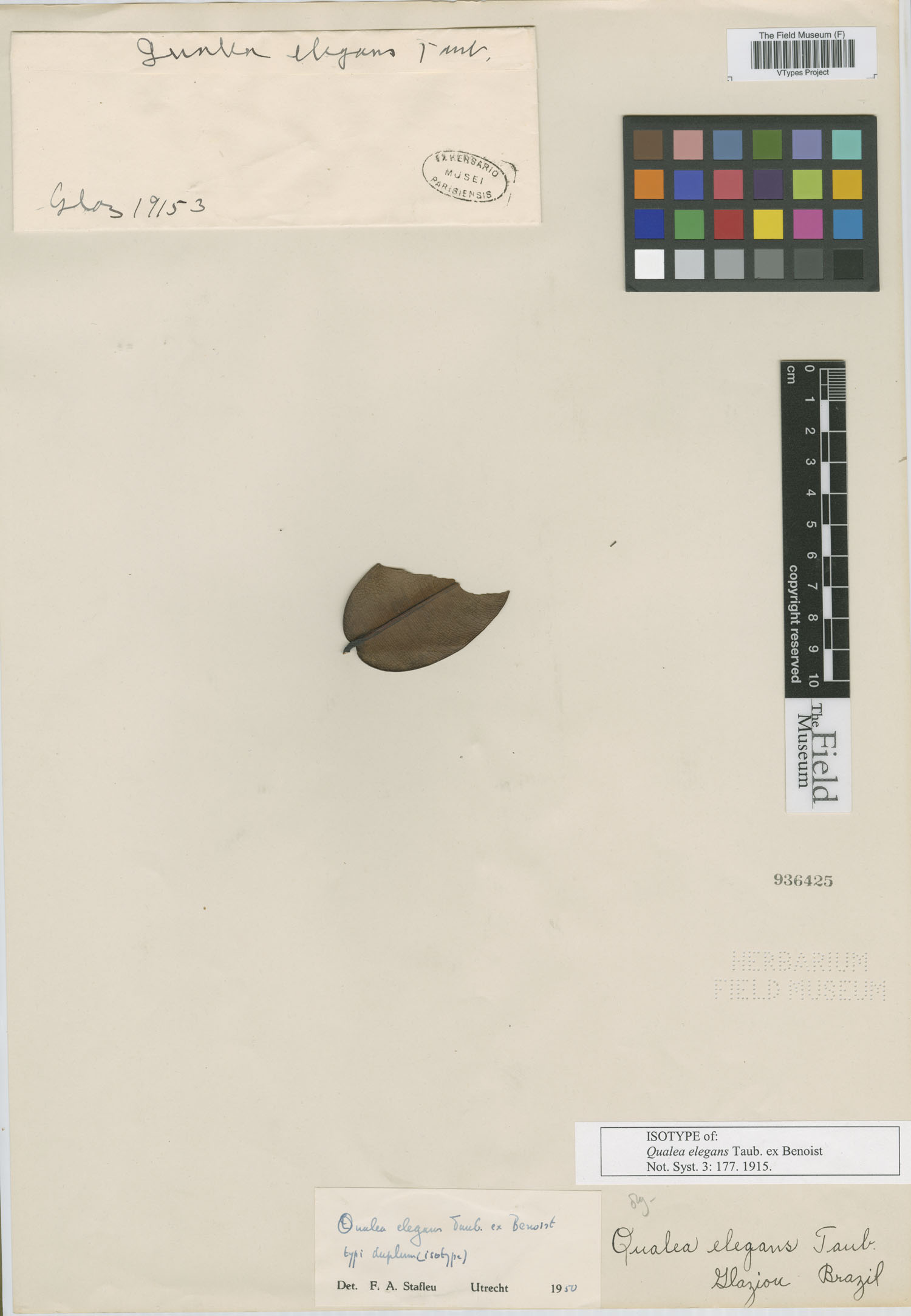 Qualea elegans
