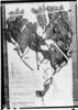 Dialyanthera parvifolia image