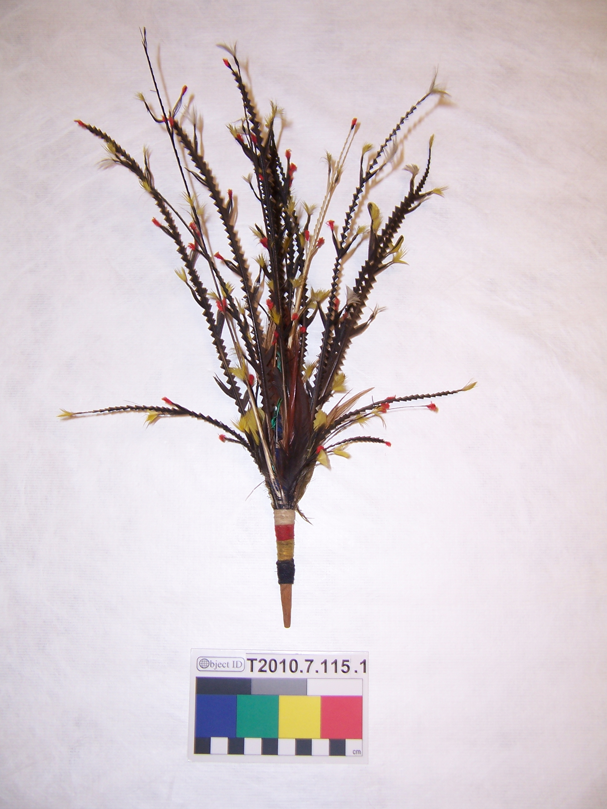 Incoming photograph. (c) Field Museum of Natural History - CC BY-NC 4.0