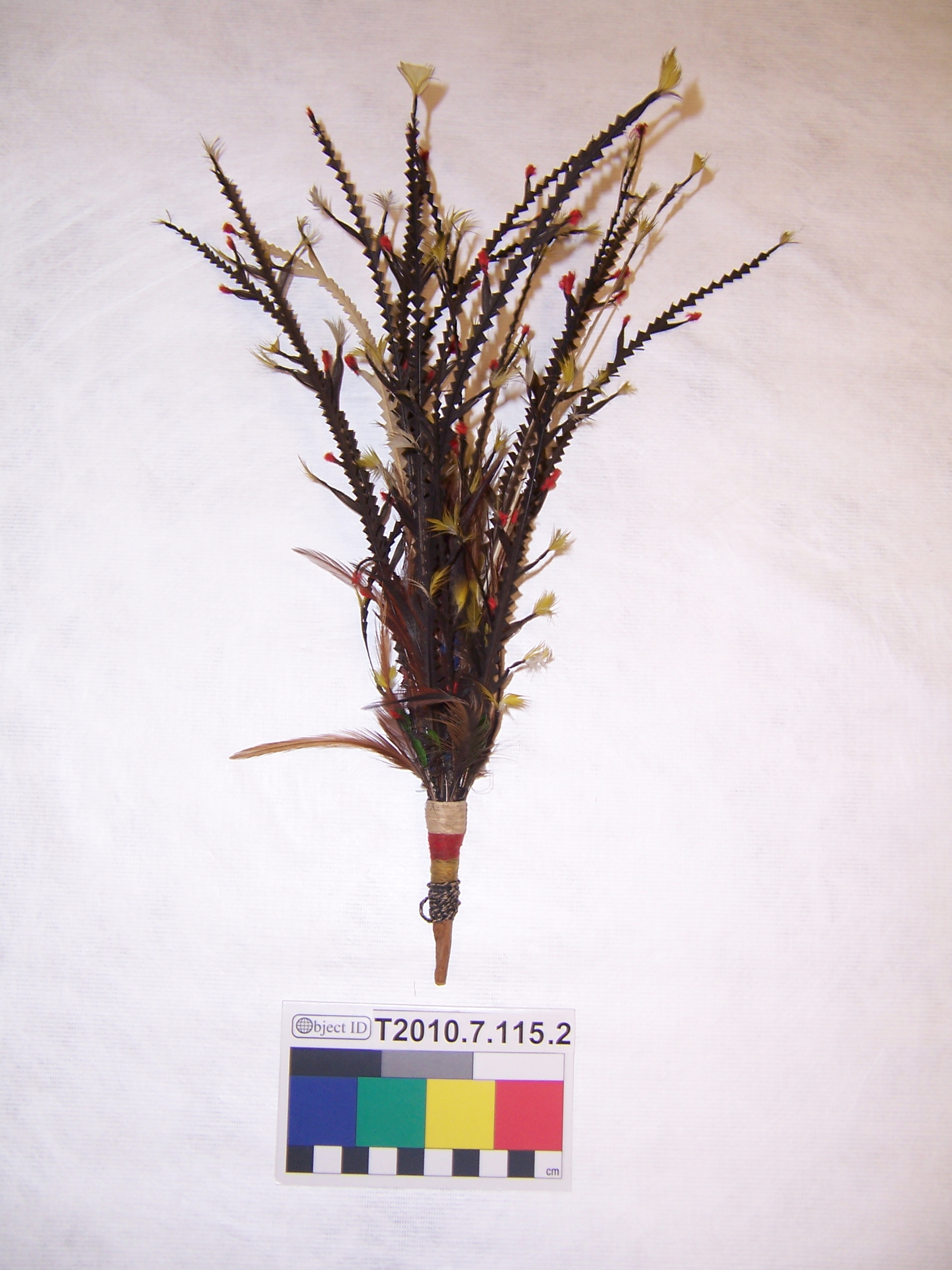 Incoming photograph. (c) Field Museum of Natural History - CC BY-NC 4.0